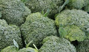 Hoe lang moet broccoli in de slowcooker? Tips voor het slowcooken van groenten